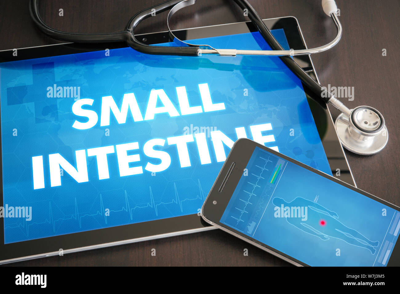 Small intestine (gastrointestinal disease related body part) diagnosis medical concept on tablet screen with stethoscope. Stock Photo