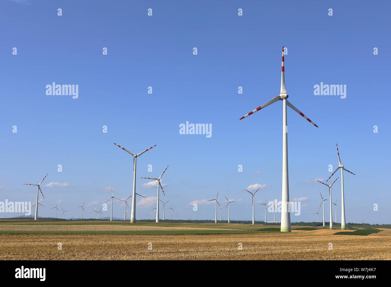 Wind power plants, wind farm between grain fields, Monchhof, Burgenland, Austria Stock Photo