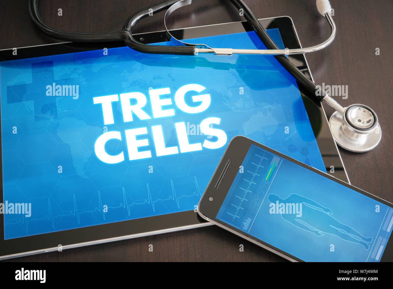 Treg cells (gastrointestinal disease related) diagnosis medical concept on tablet screen with stethoscope. Stock Photo