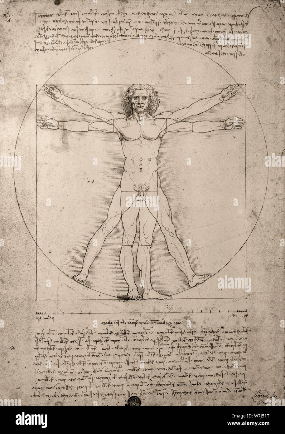 Drawing, Leonardo da Vinci, Vitruvian man, Italy Stock Photo