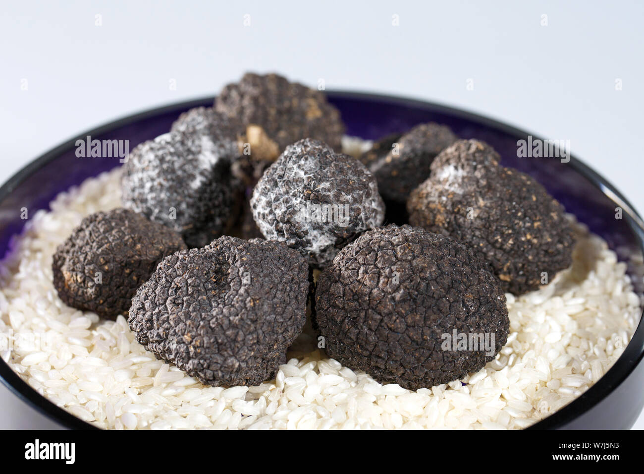 Black Truffles in rice on a white background Stock Photo Alamy