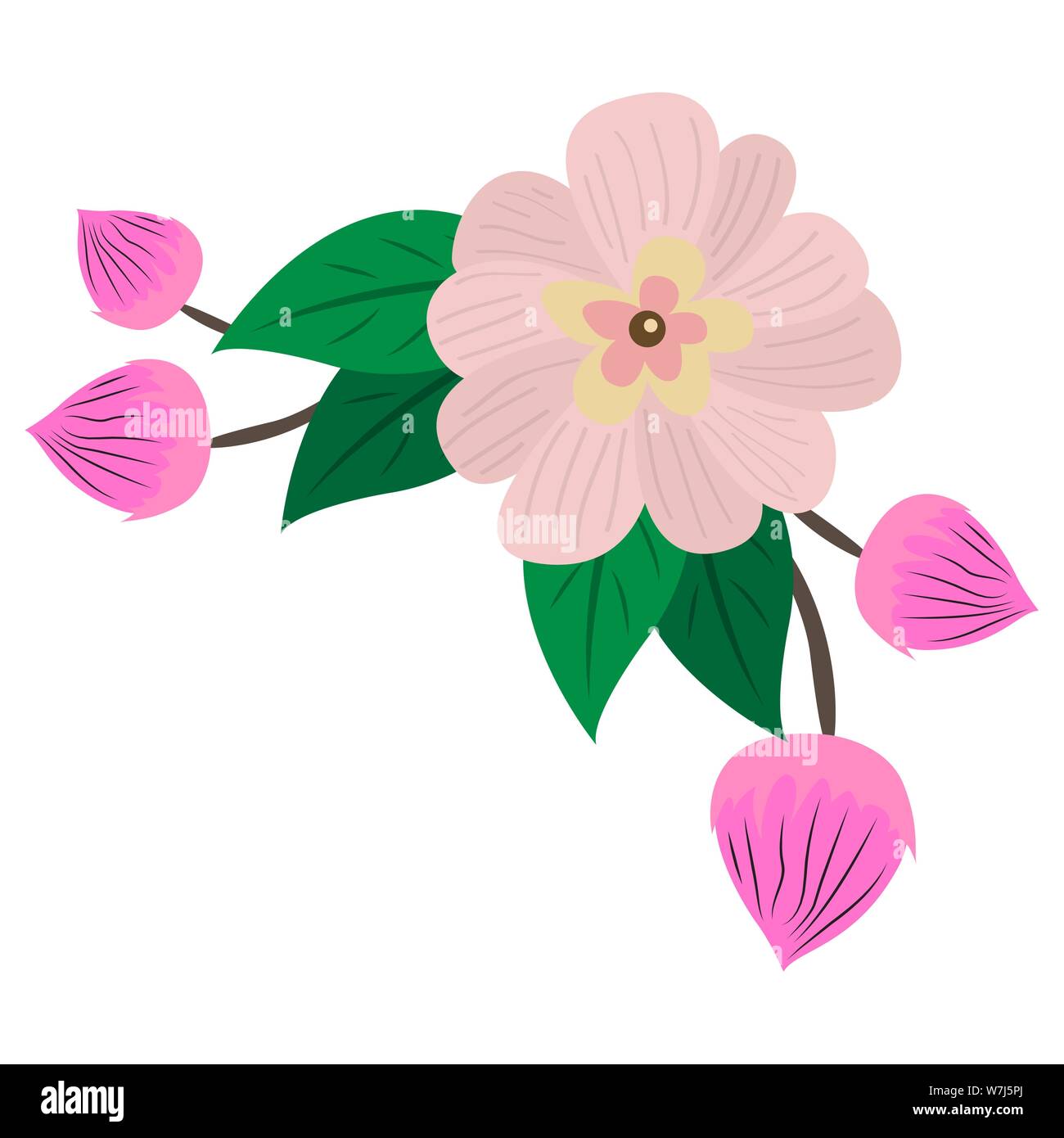 Isolated flower over a white background - Vector Stock Vector Image ...