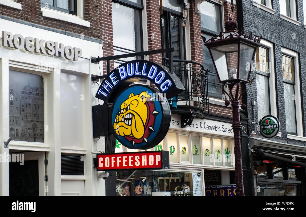 Sign of the Coffeshop The Bulldog, Amsterdam, North Holland, Netherlands Stock Photo