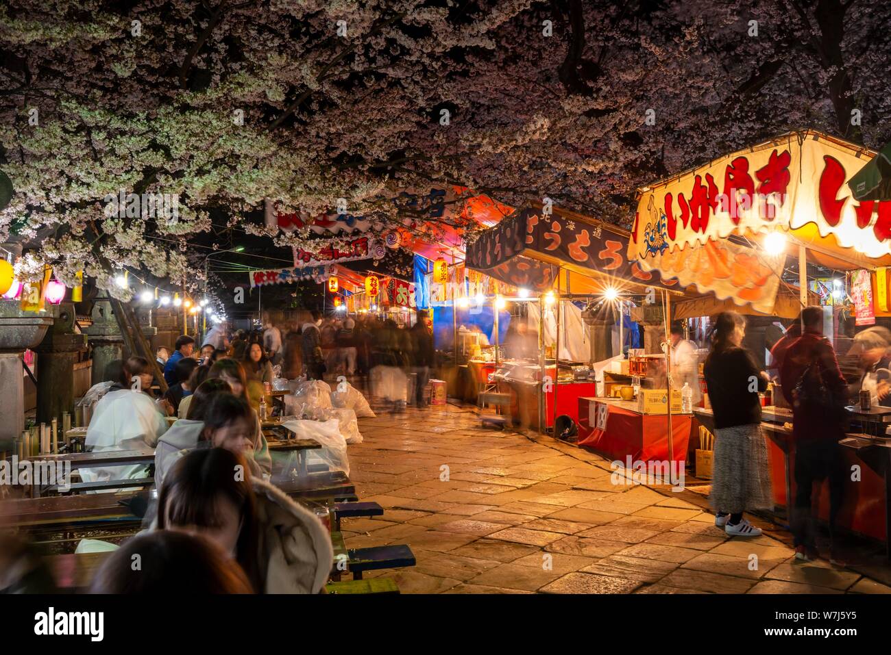 Food stalls with Japanese food at night, cherry blossom in spring, Hanami Fest, Ueno Park, Taito City, Tokyo, Japan Stock Photo