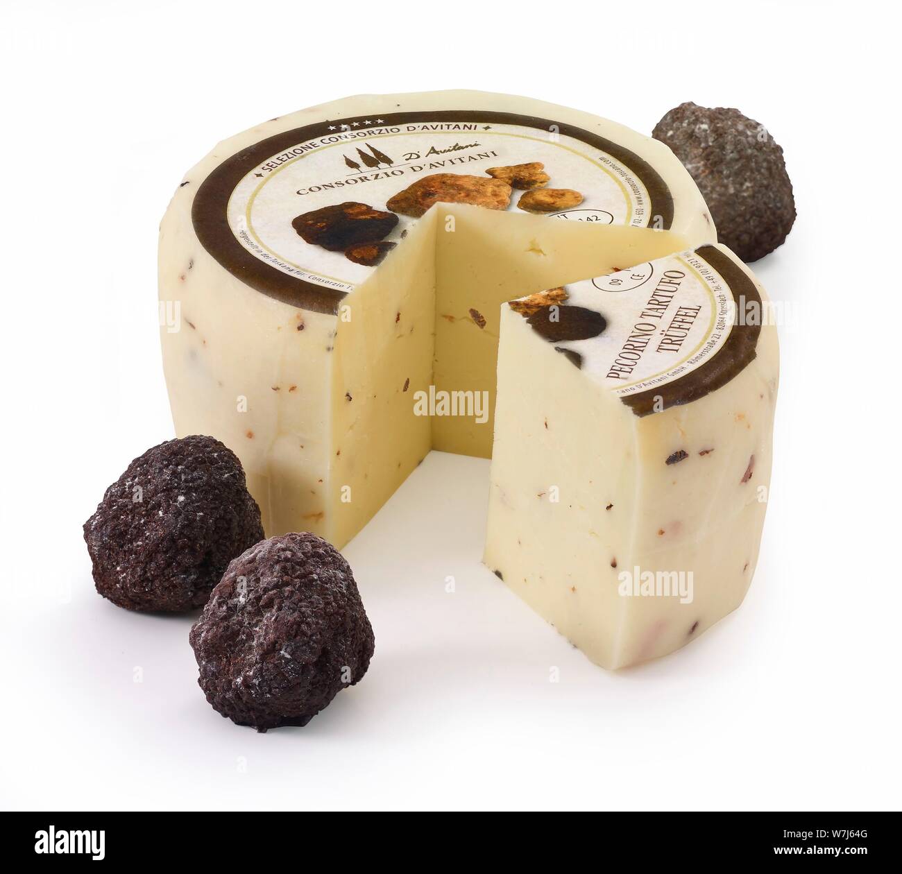 Pecorino Tartufo, cheese, with whole truffles as decoration, cutout, Germany Stock Photo