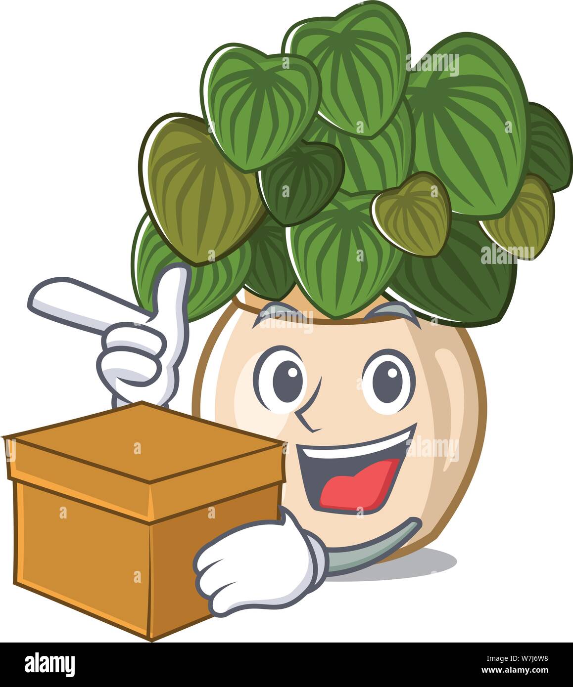 With box peperomia isolated within in the character Stock Vector