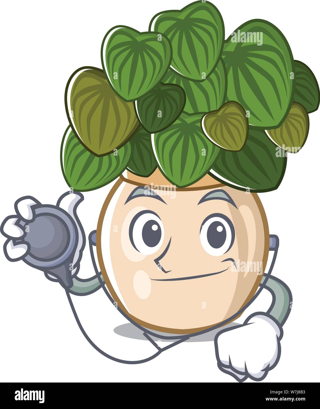 Doctor peperomia grows in a mascot pot Stock Vector