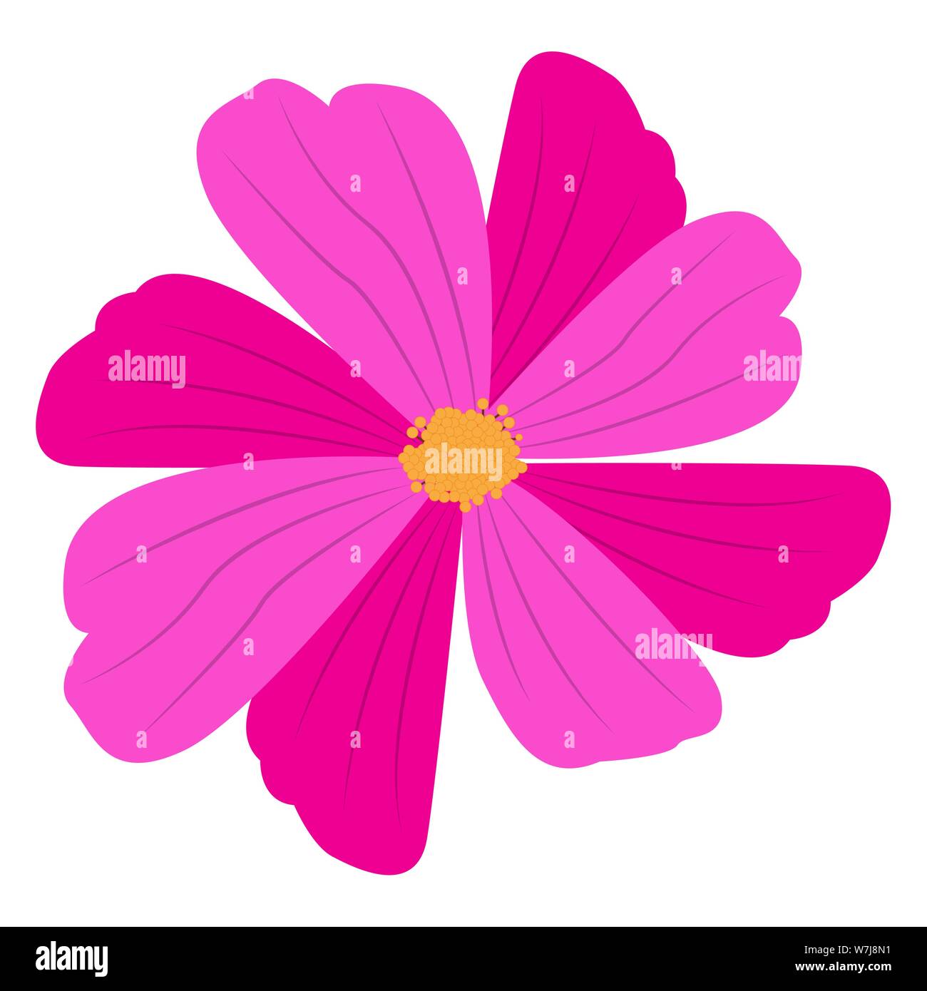 Isolated flower over a white background - Vector Stock Vector Image ...