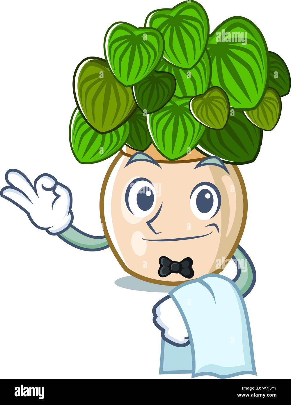 Waiter peperomia spreads on the cartoon stems Stock Vector