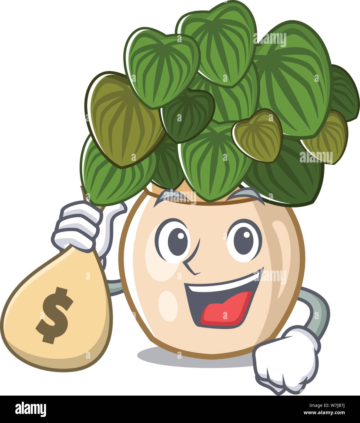 With money bag peperomia grows in a mascot pot Stock Vector