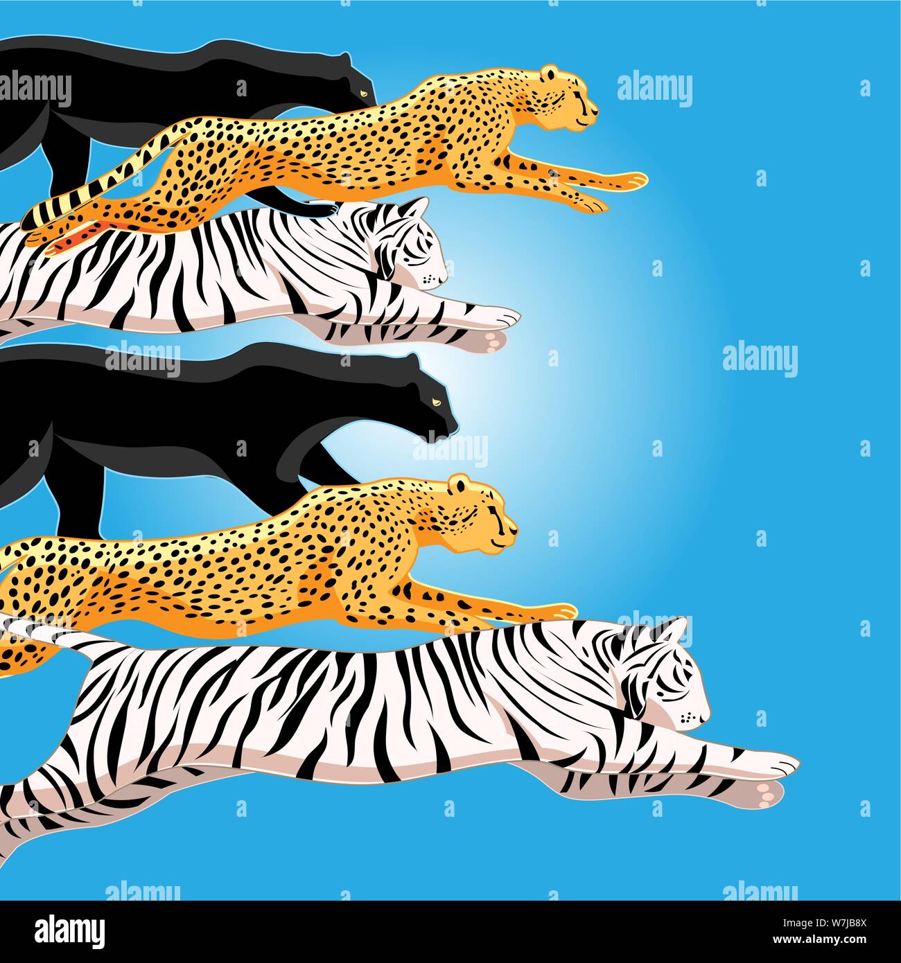 llustration jungle pattern of panthers, leopards and tigers on a background  with the sun. An example for a poster or web page Stock Vector Image & Art  - Alamy