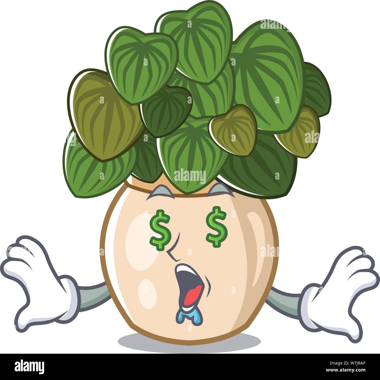 Money eye peperomia with in the cartoon shape Stock Vector