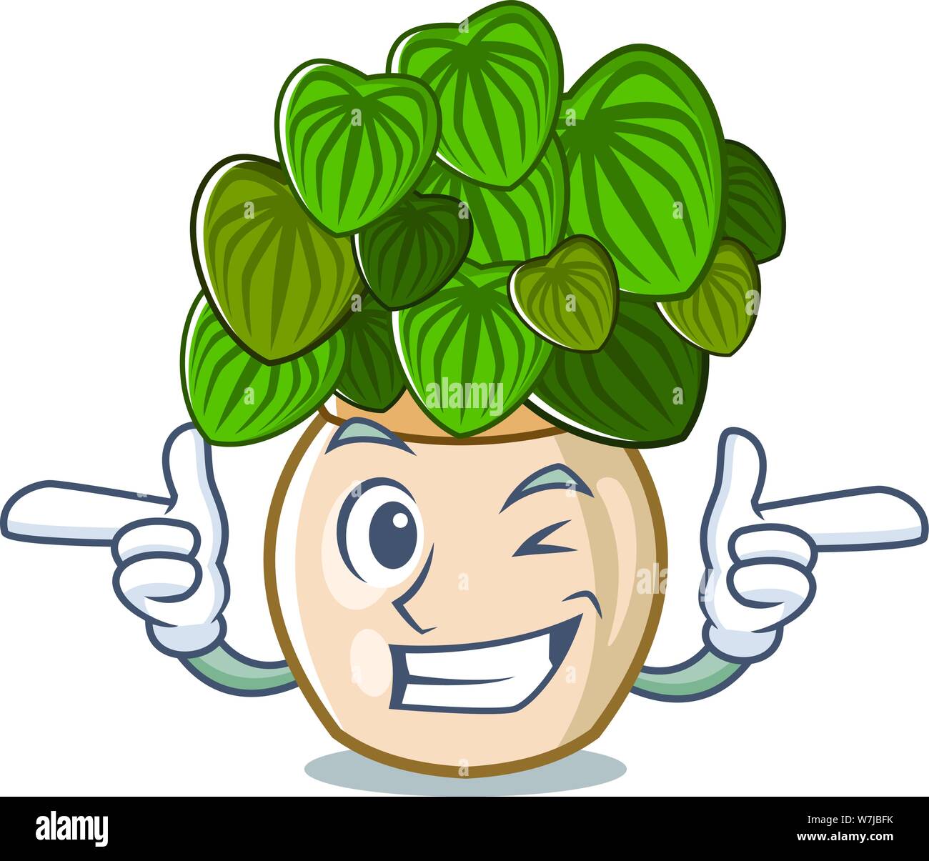 Wink peperomia isolated within in the character Stock Vector