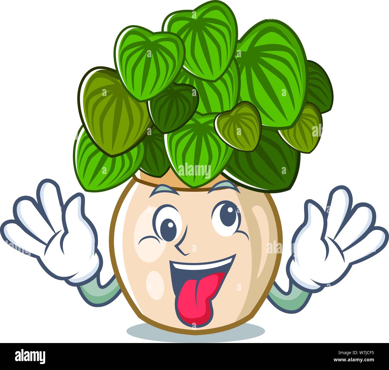Crazy peperomia with in the cartoon shape Stock Vector