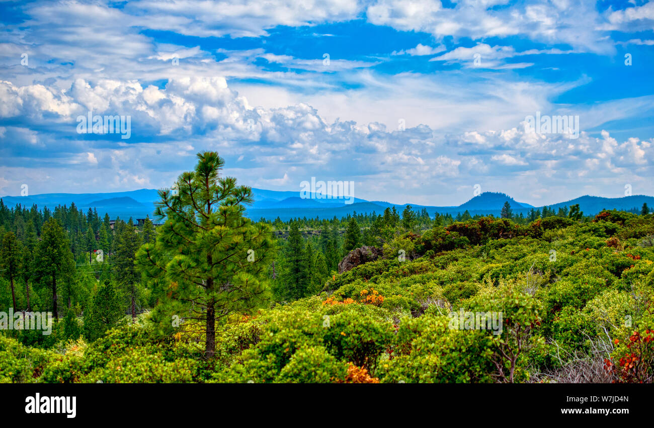 View from the Cascade Lakes National Byway with Carpeted Hills of Evergreen Pines Overlooking Mountains Cinder Cones and Buttes of Oregon set on Sky Stock Photo