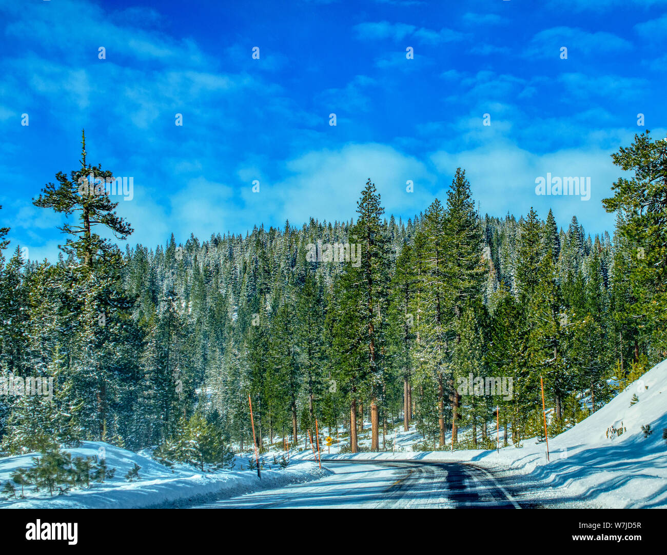 View of Snowy Evergreen Tree Lined Road to Mt. Bachelor Central Oregon Stock Photo
