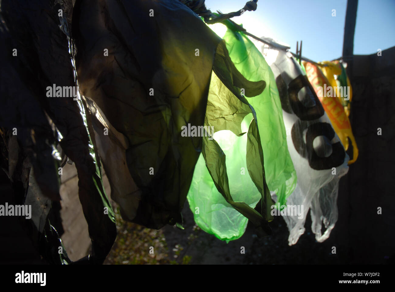 Plastic Carrier Bags hanging out to dry on a washing line, Mwandi