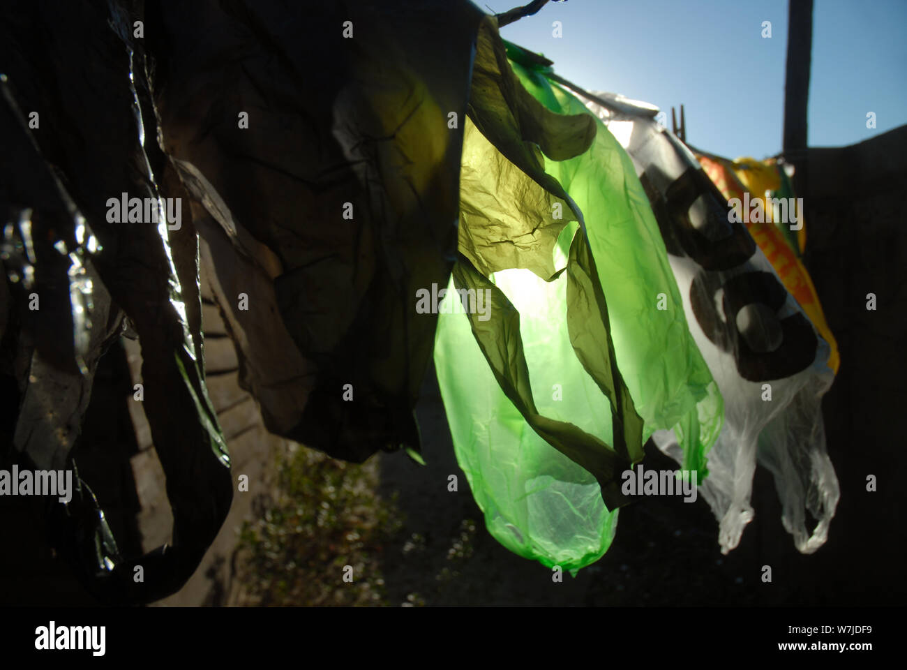 Plastic Carrier Bags hanging out to dry on a washing line, Mwandi