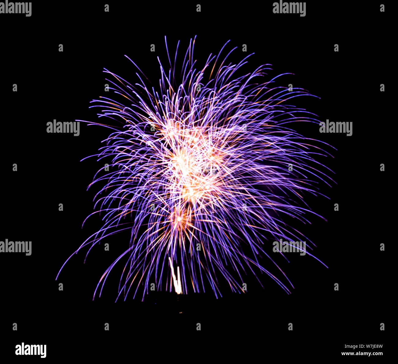 Purple and white fireworks exploding in the sky. Stock Photo