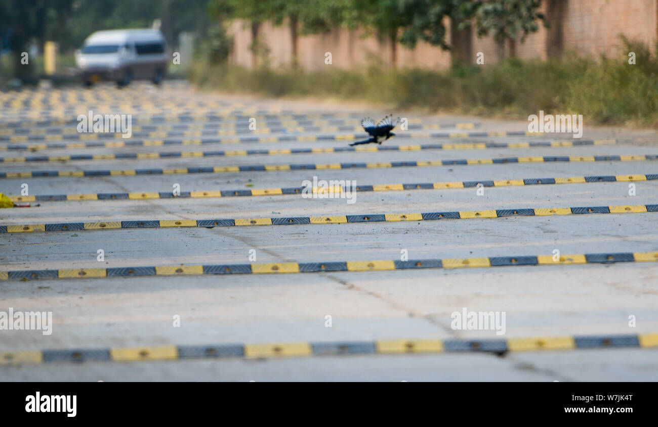 A car drives on a 200meterlong "washboard road" with more than 100