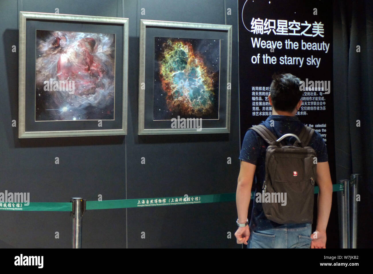 Visitors look at the Suzhou embroideries ''Starry Sky'' on display during the Starry Sky Illumination Exhibition at Shanghai Natural History Museum in Stock Photo