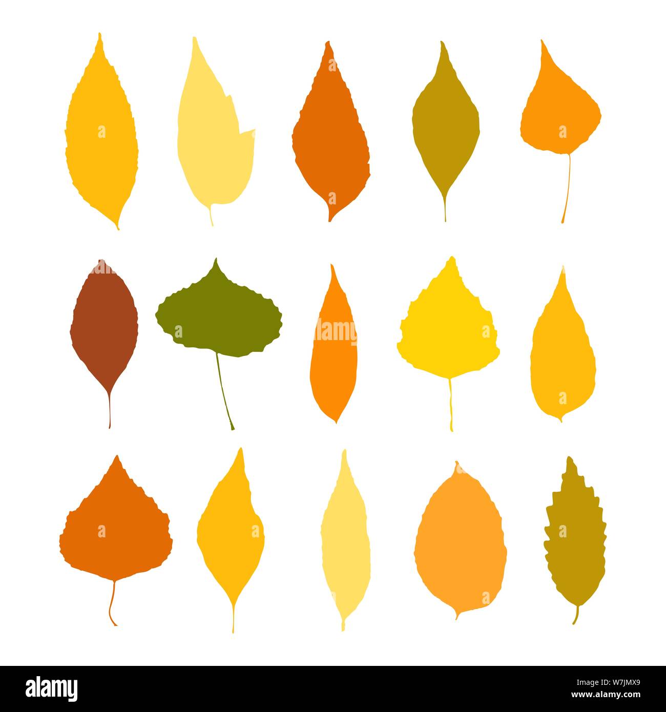 Colorful autumn leaves set isolated on white background vector Stock ...