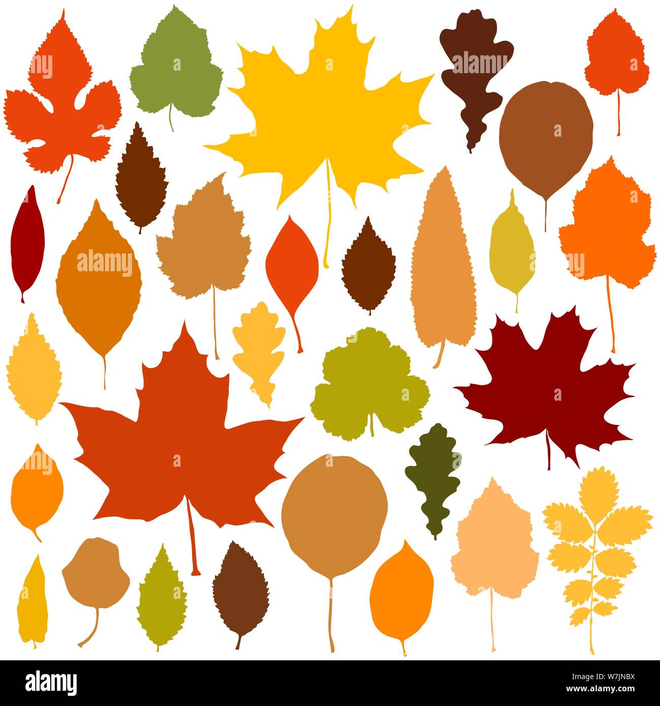 Autumn leaves set on white background vector Stock Vector Image & Art ...