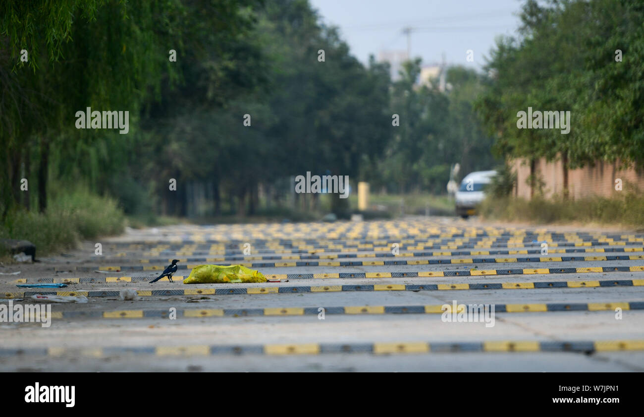 A car drives on a 200meterlong "washboard road" with more than 100