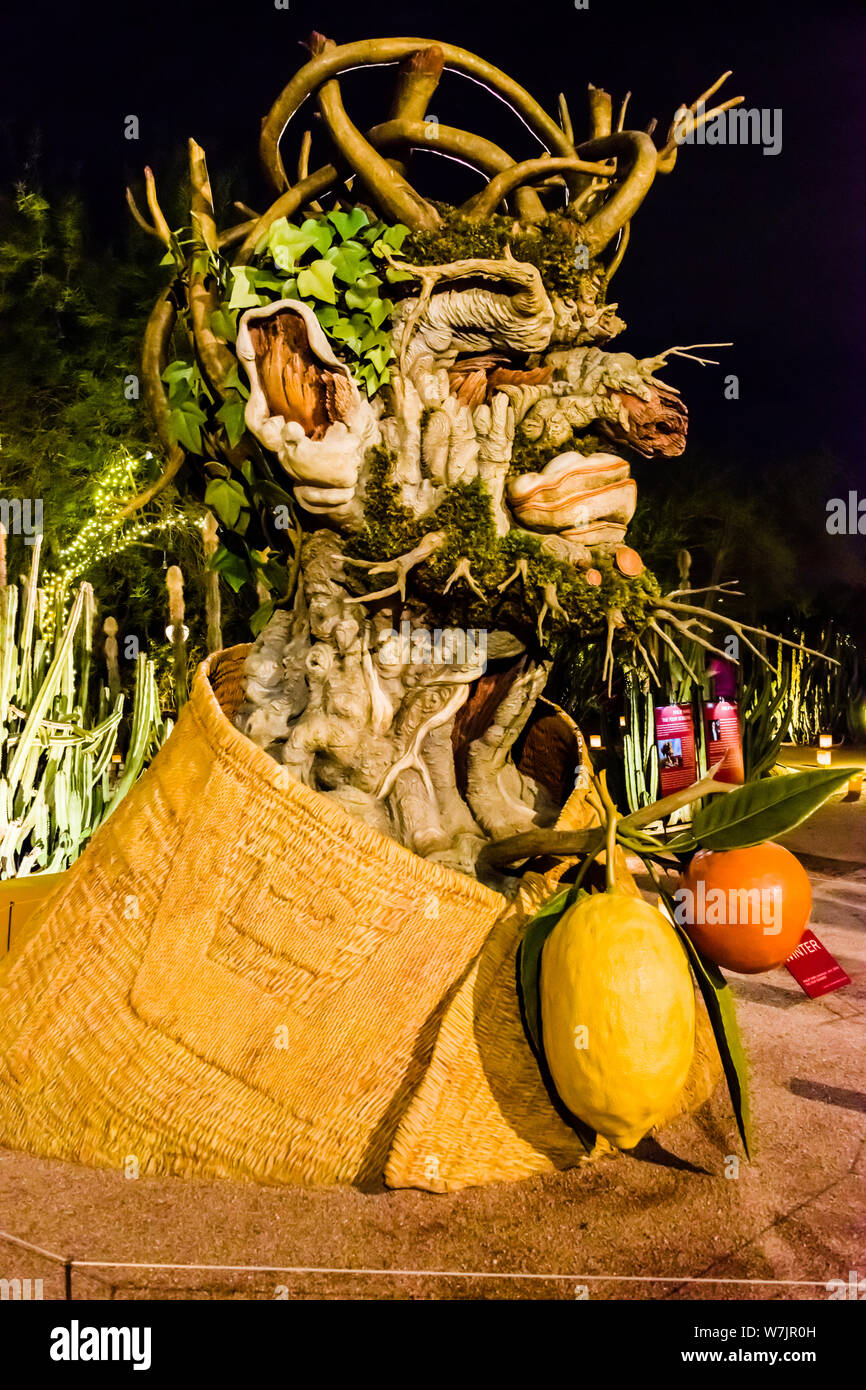 Desert Botanical Garden Winter Sculpture Stock Photo Alamy
