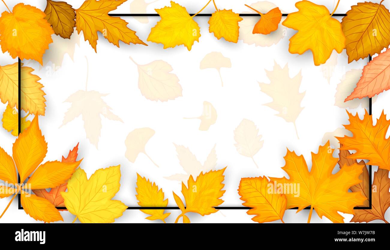 Colorful autumn leaves frame. Vector illustration Stock Vector Image ...