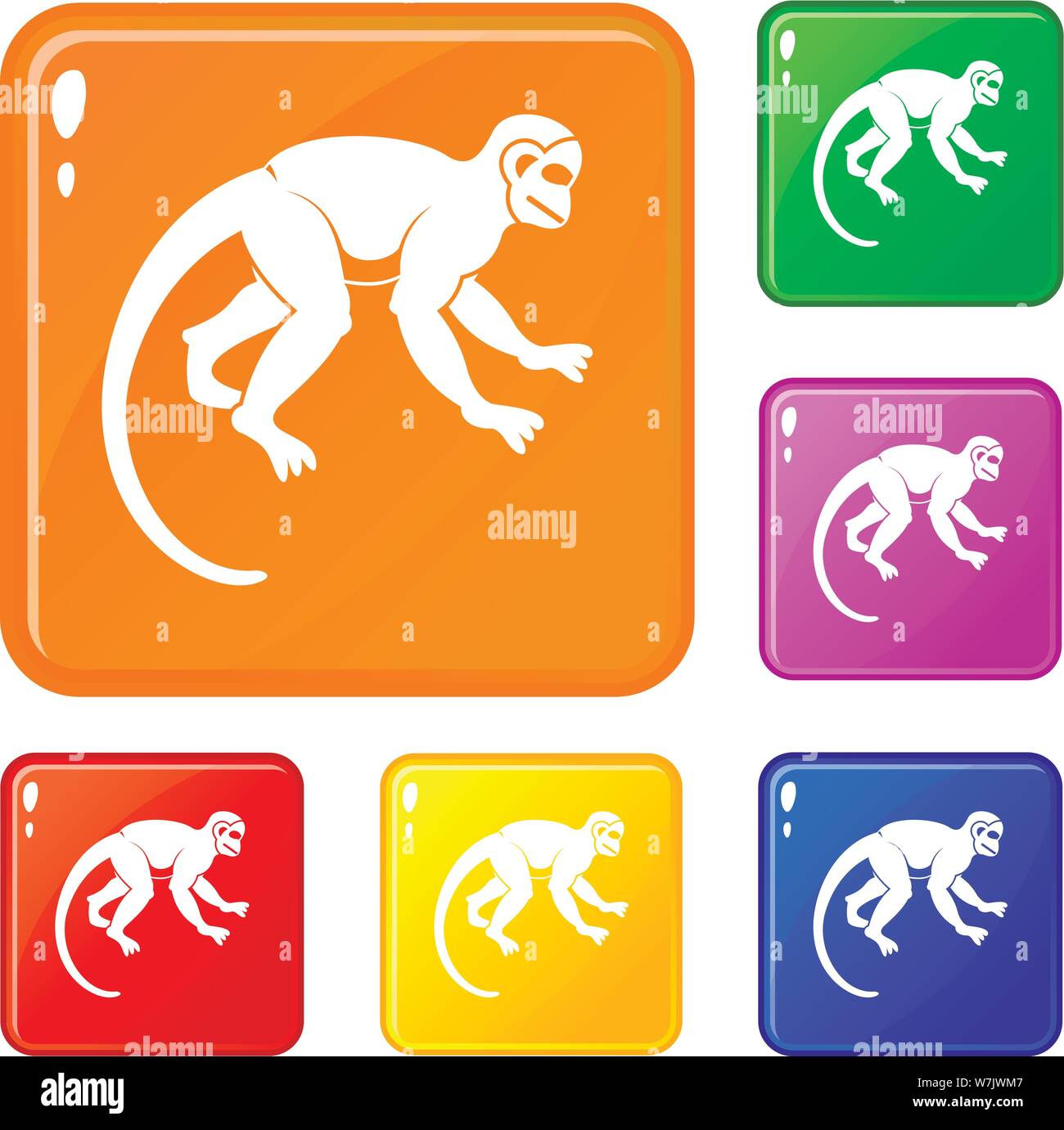 Capuchin species Cut Out Stock Images & Pictures - Alamy