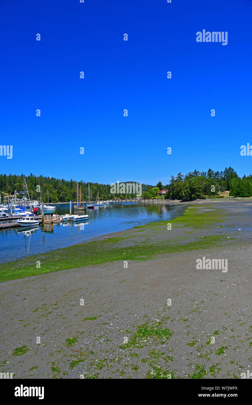 View of Deer Harbor Marina on Orcas Island, Washington in the San Juan Islands Stock Photo