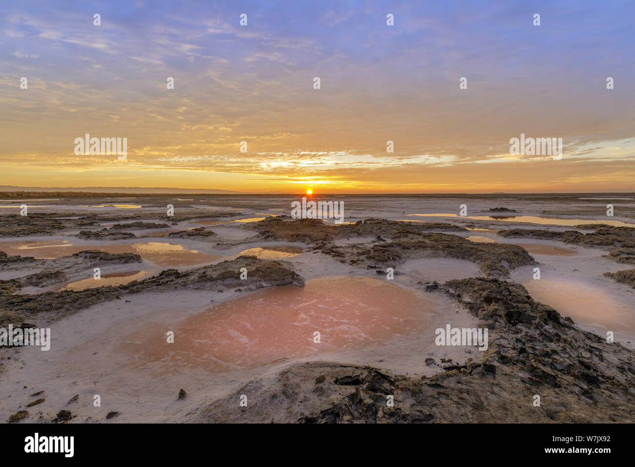 Dried Salt Marsh Colors in San Francisco South Bay Stock Photo