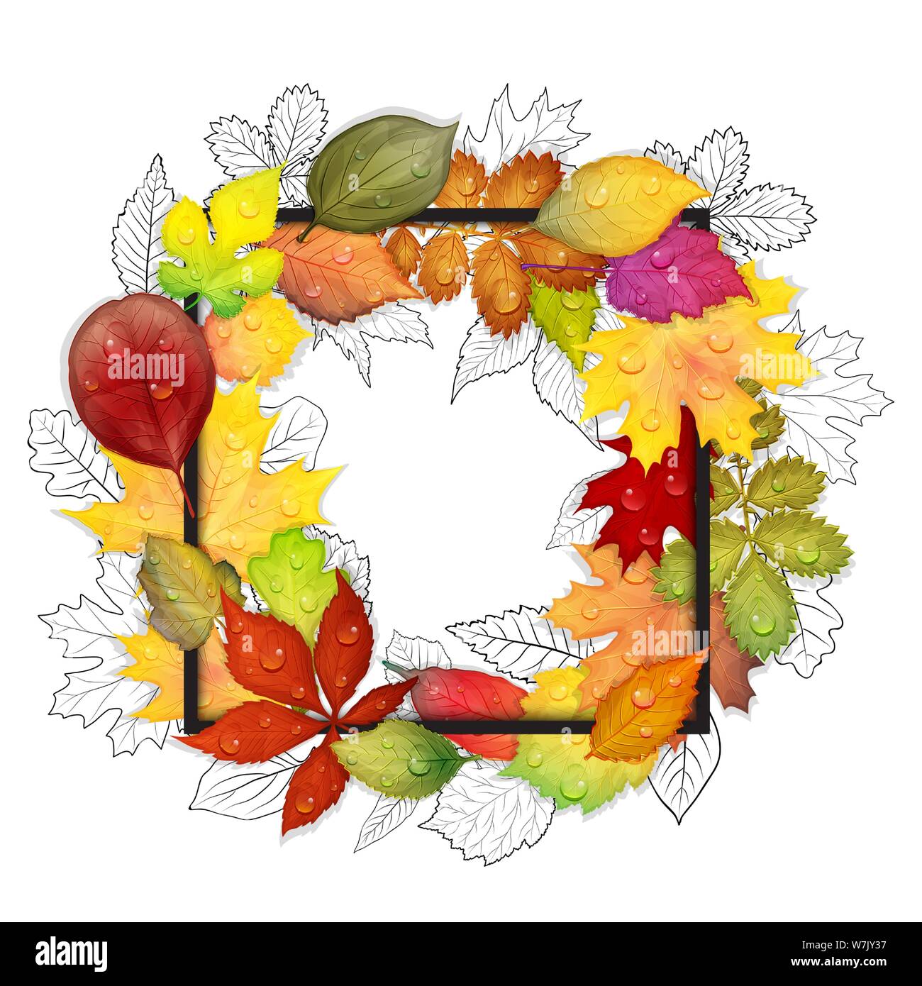 Colorful autumn leaves frame isolated on white background. Vector ...