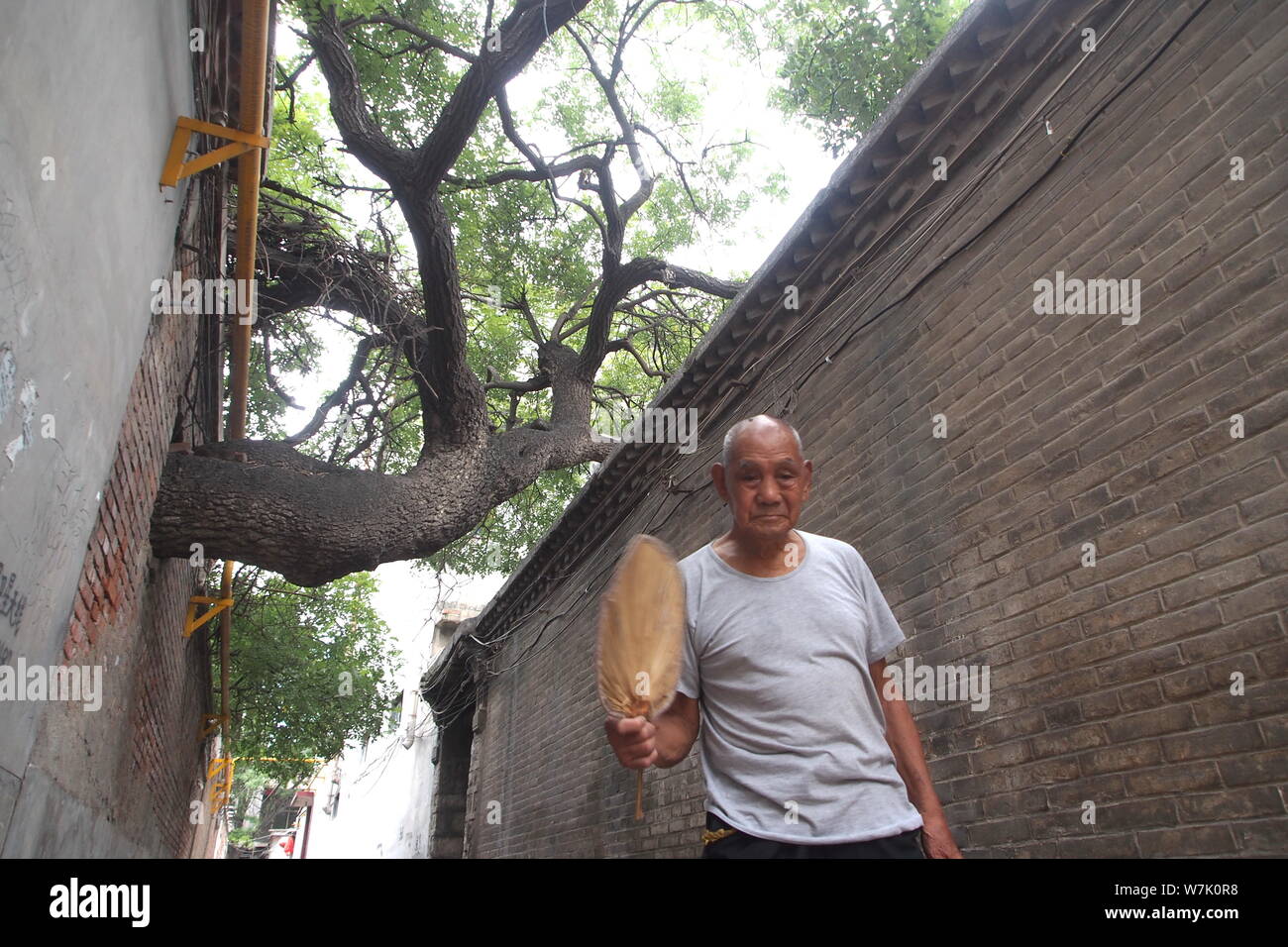 Shijiazhuangnan Download Free HD Maps, Regions and Roads (Images & PDFs)