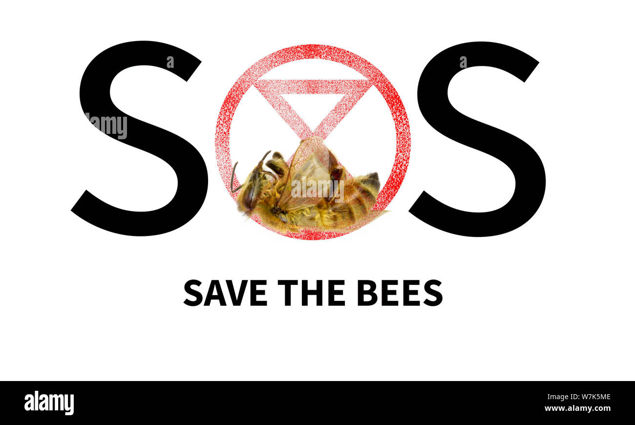 SOS Save the Bees. Decline in Bees due to habitat destruction, pollution and pesticide use, SOS text with red extinction symbol and dead bee Stock Photo