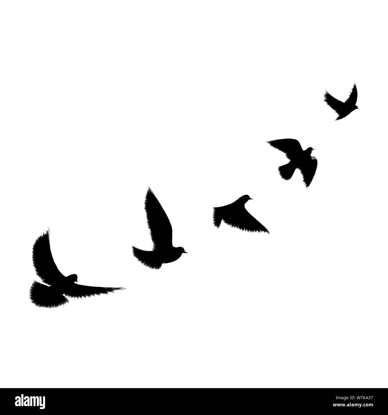 black bird flying silhouette