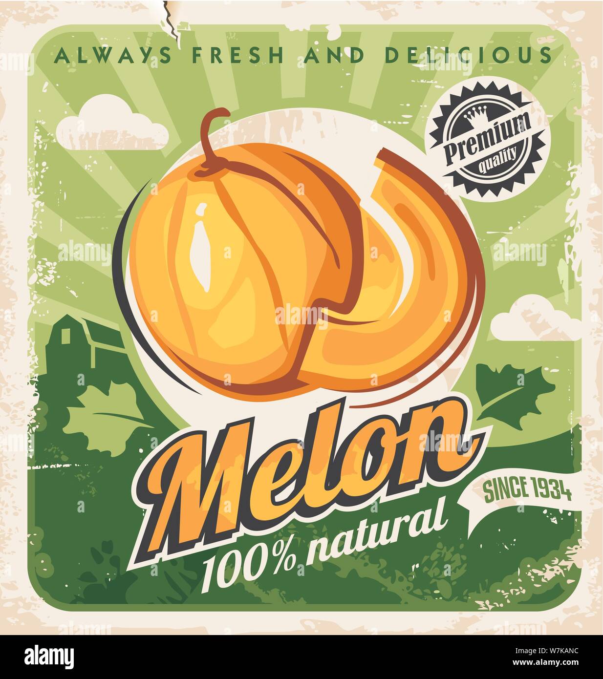 Cantaloupe melon retro poster design. Farm fresh melons vintage ad concept. Fruits and vegetables vector illustration. Stock Vector