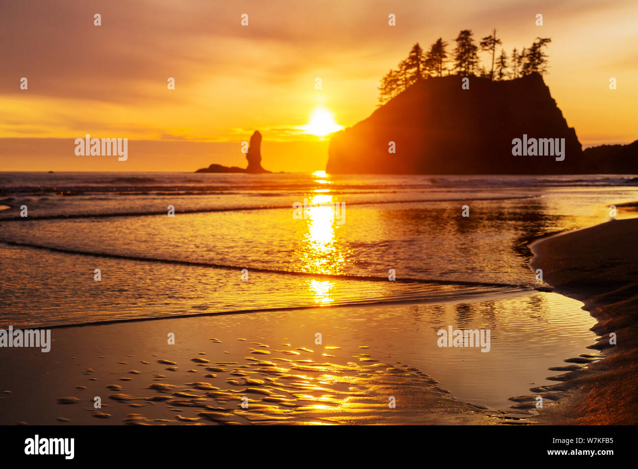 Olympic National Park Sunset