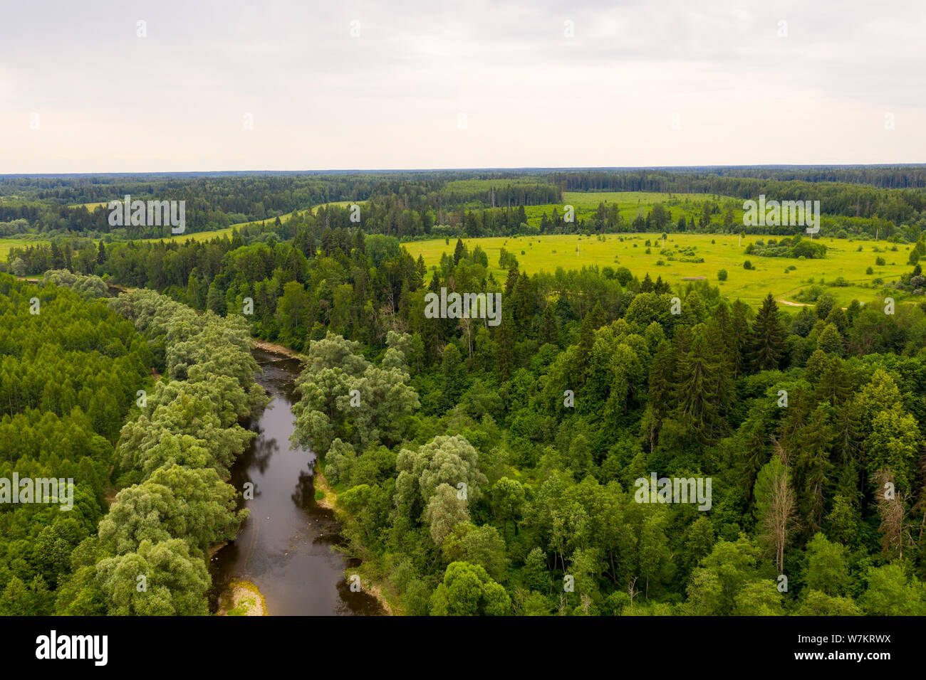 Drone top shot over forest hi-res stock photography and images - Alamy