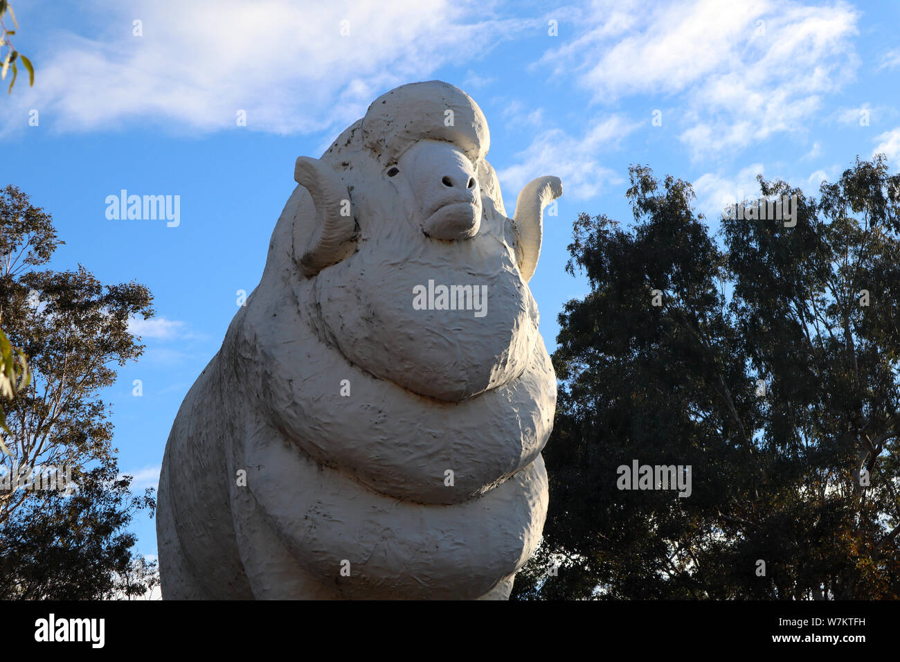 The big ram statue wa hires stock photography and images Alamy