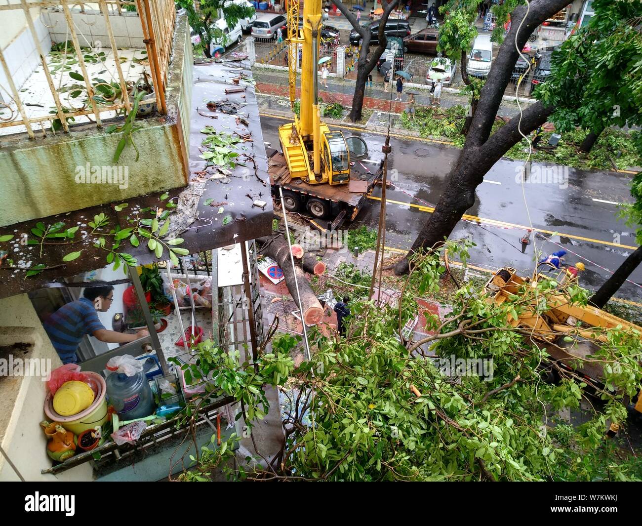 Hong kong typhoon crane hi-res stock photography and images - Alamy