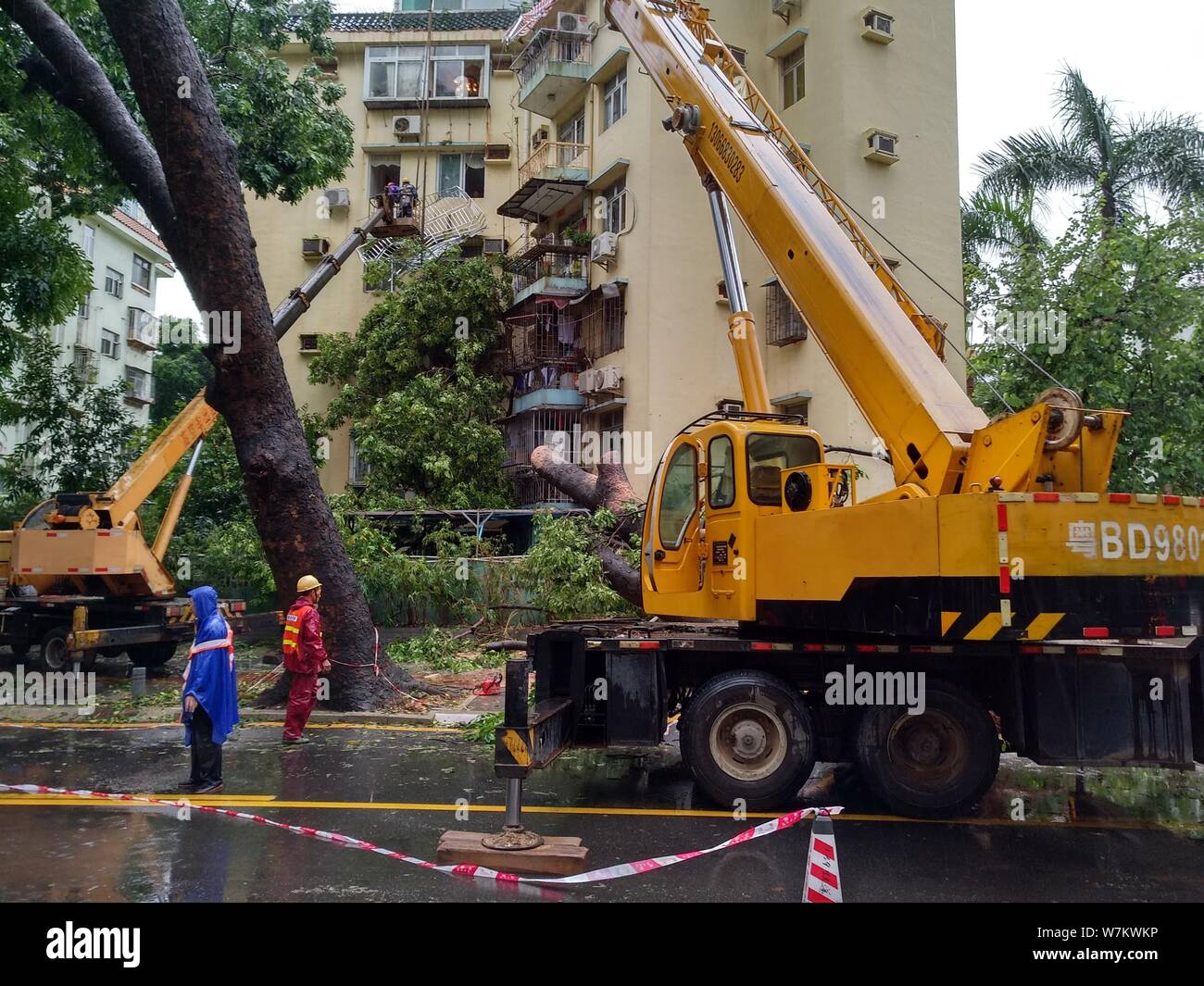 Lifts trees hi-res stock photography and images - Alamy