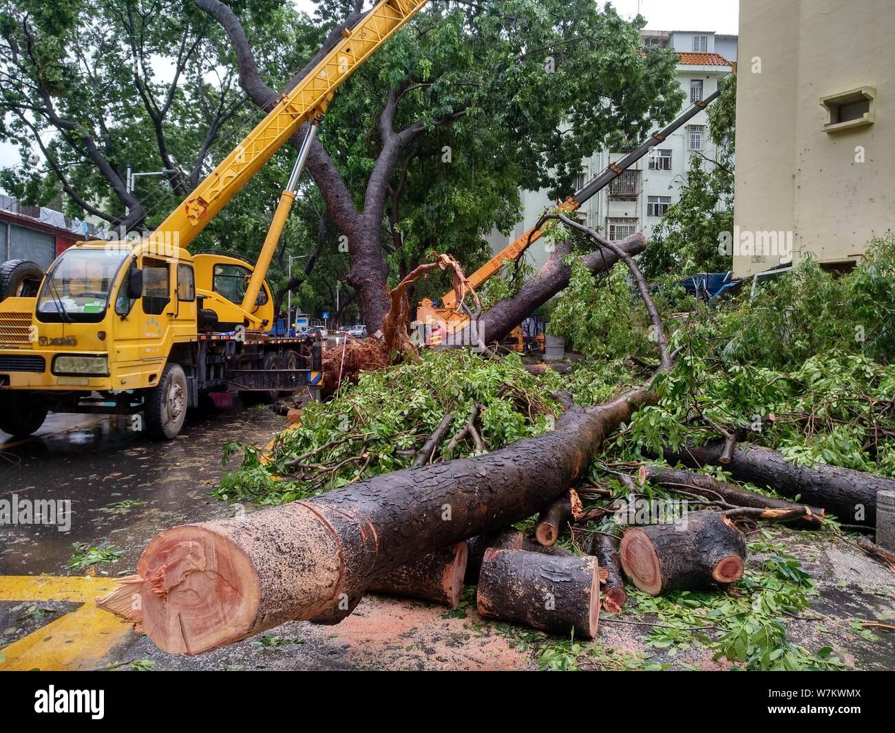 Hong kong typhoon crane hi-res stock photography and images - Alamy