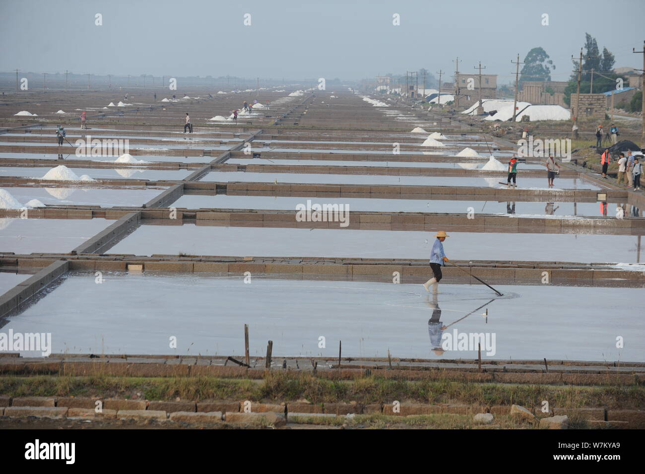 Chinese workers collect salt during salt farming season at a saltworks in Fuzhou city, southeast China's Fujian province, 18 August 2017.   Chinese wo Stock Photo