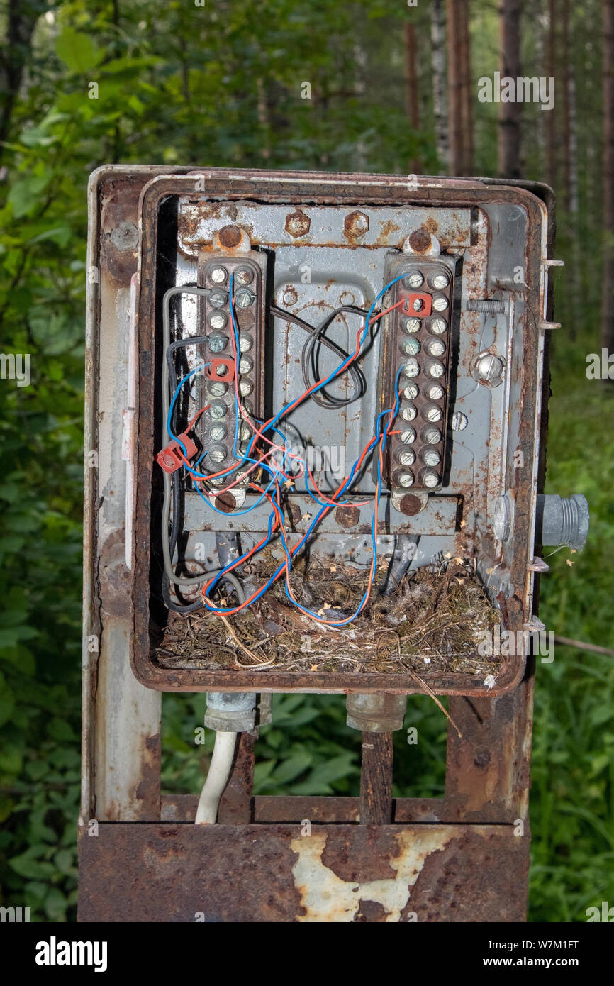 https://c8.alamy.com/comp/W7M1FT/old-electrical-box-in-the-woods-W7M1FT.jpg