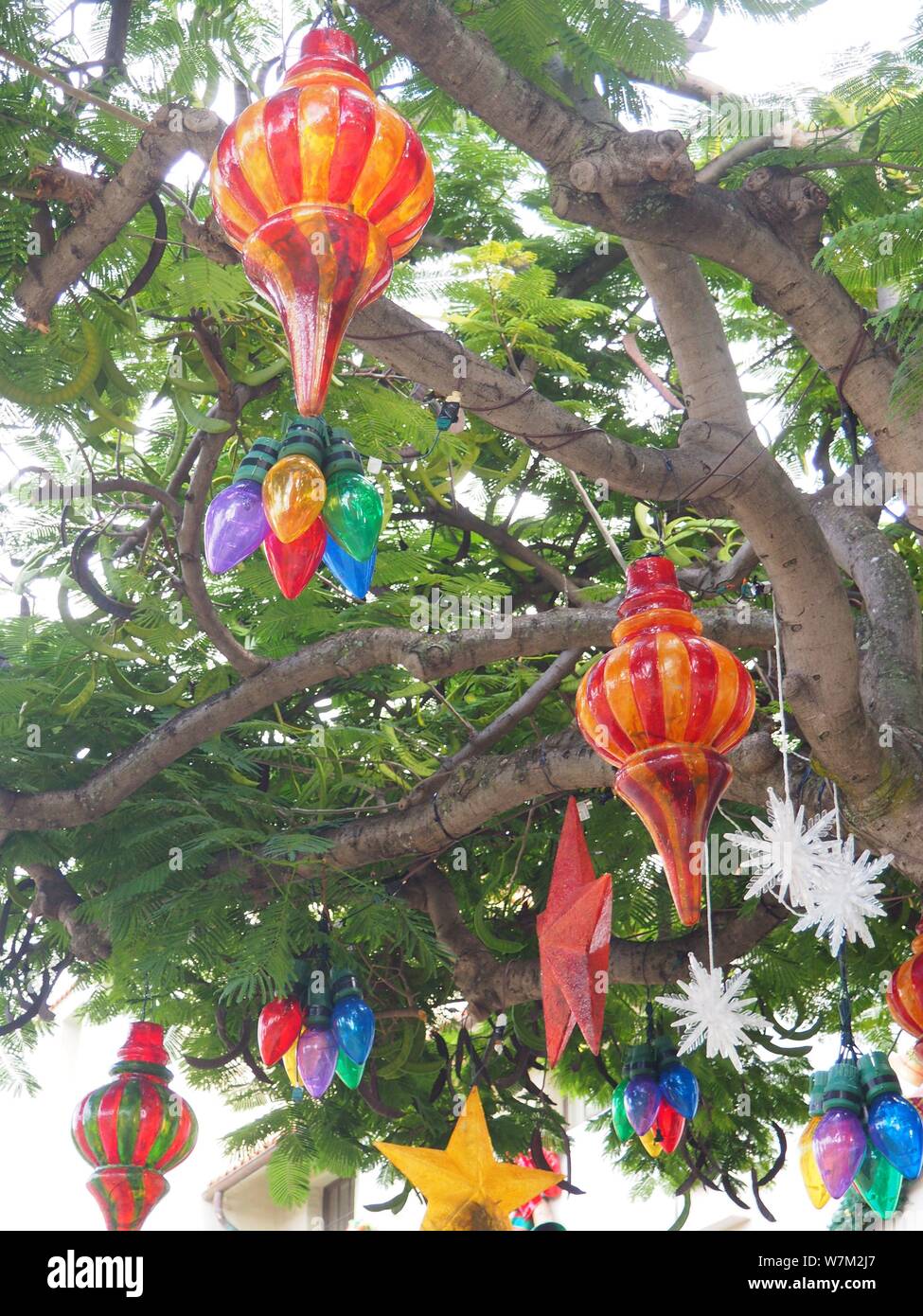 Christmas at Honolulu Hale, Honolulu, Oahu, Hawaii Stock Photo Alamy