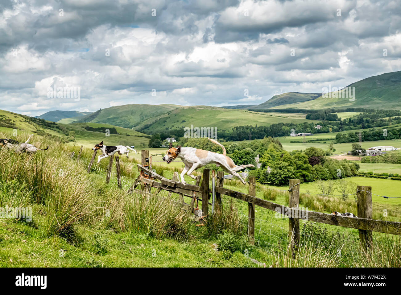 Langholm Scotland High Resolution Stock Photography and Images Alamy
