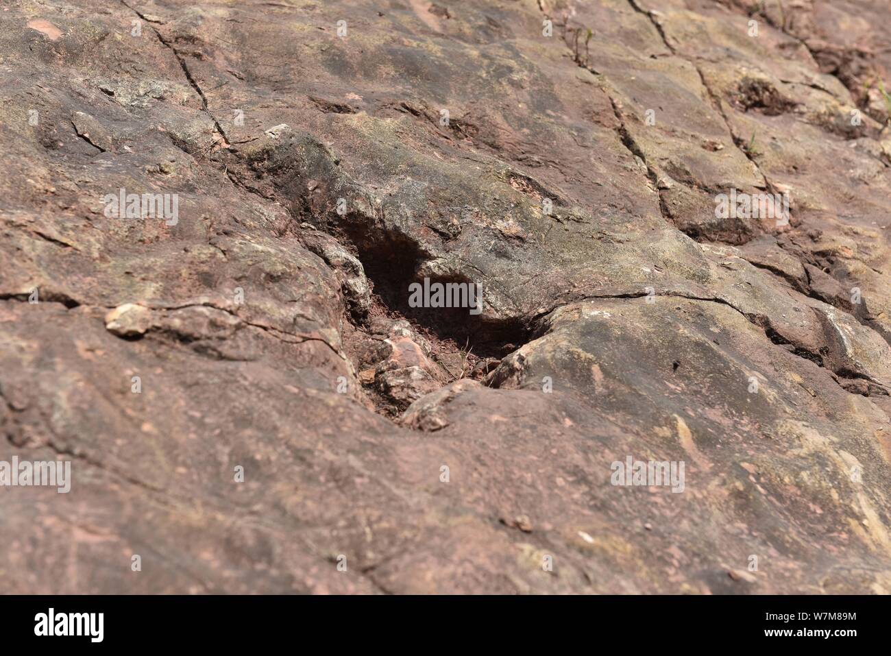 View of a dinosaur footprint of sauropod dinosaurs from the early Jurassic Period in Maotai town, Zunyi city, southwest China's Guizhou province, 21 A Stock Photo