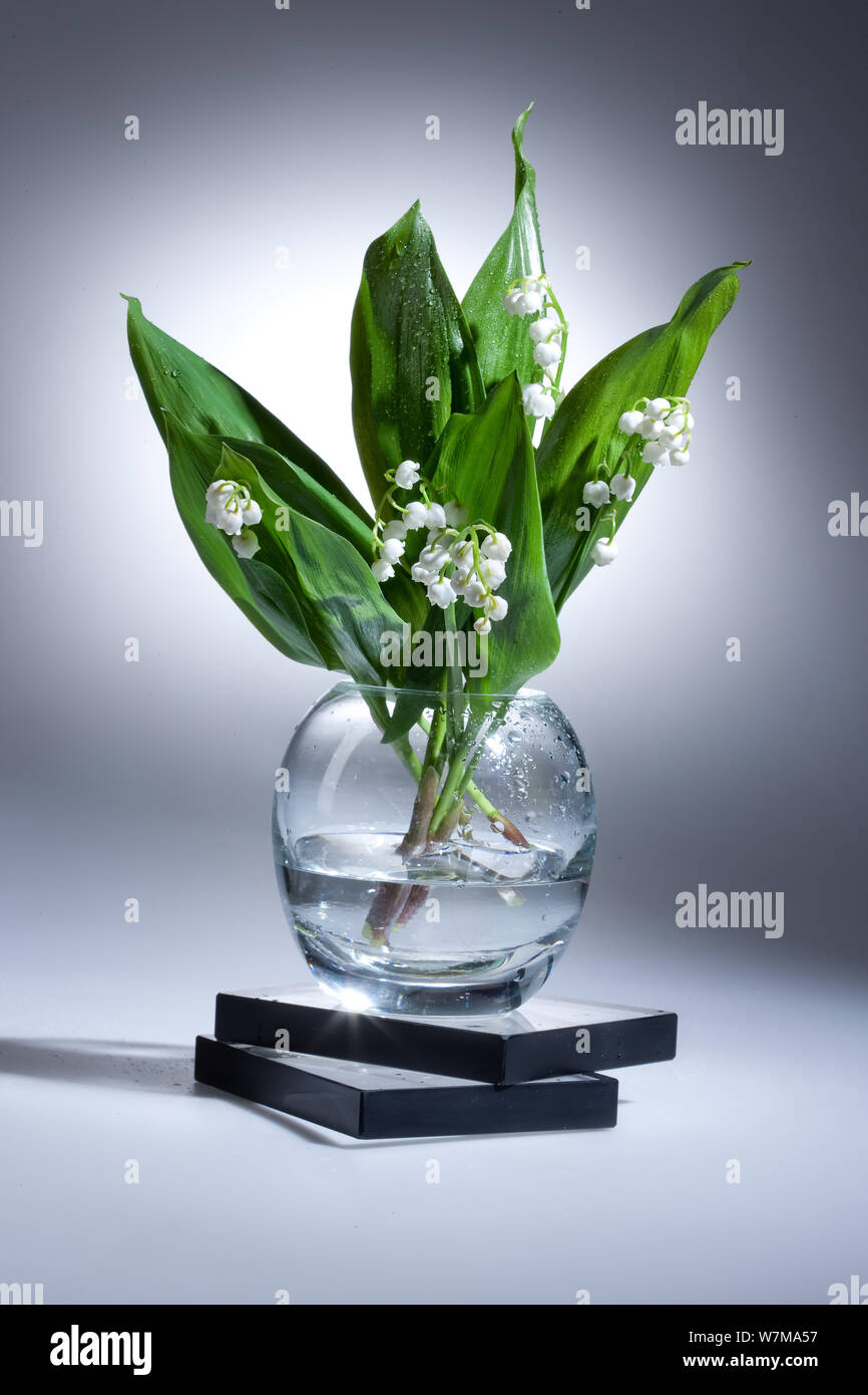 Lilly of the valley vase hi-res stock photography and images - Alamy